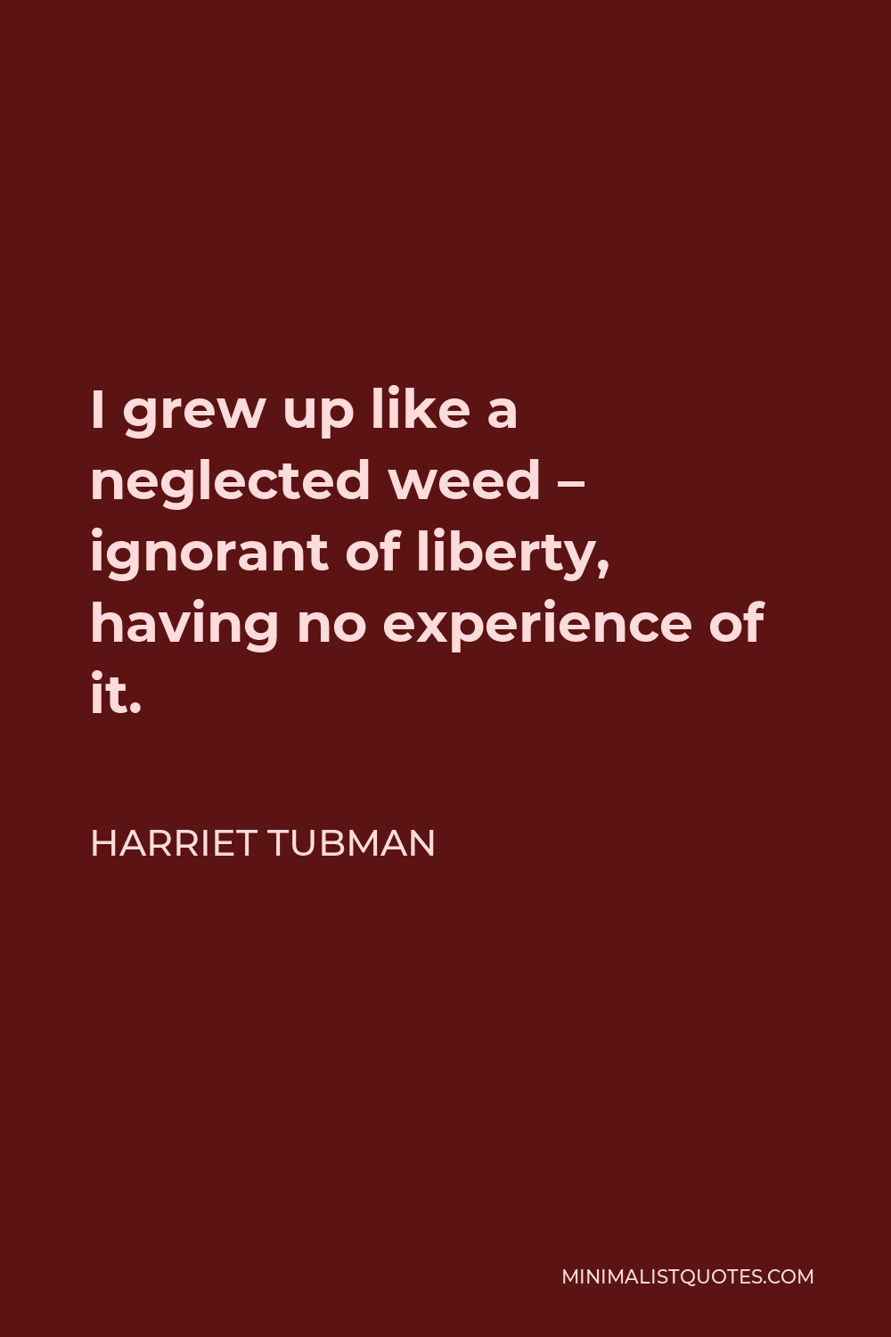 Harriet Tubman Quote - I grew up like a neglected weed – ignorant of liberty, having no experience of it.