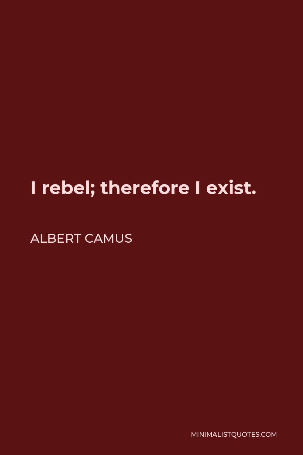 Albert Camus Quote - I rebel; therefore I exist.
