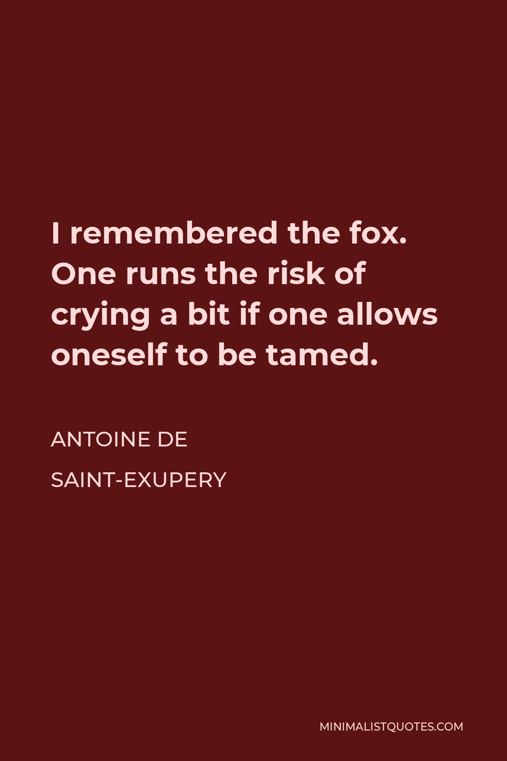 Antoine de Saint-Exupery Quote - I remembered the fox. One runs the risk of crying a bit if one allows oneself to be tamed.