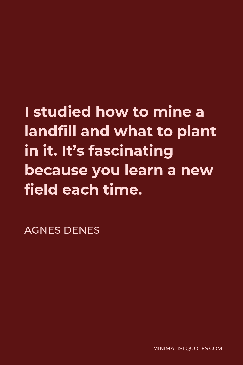 Agnes Denes Quote - I studied how to mine a landfill and what to plant in it. It’s fascinating because you learn a new field each time.