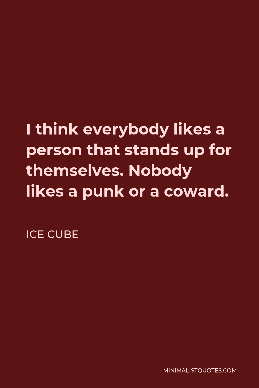 Ice Cube Quote - I think everybody likes a person that stands up for themselves. Nobody likes a punk or a coward.