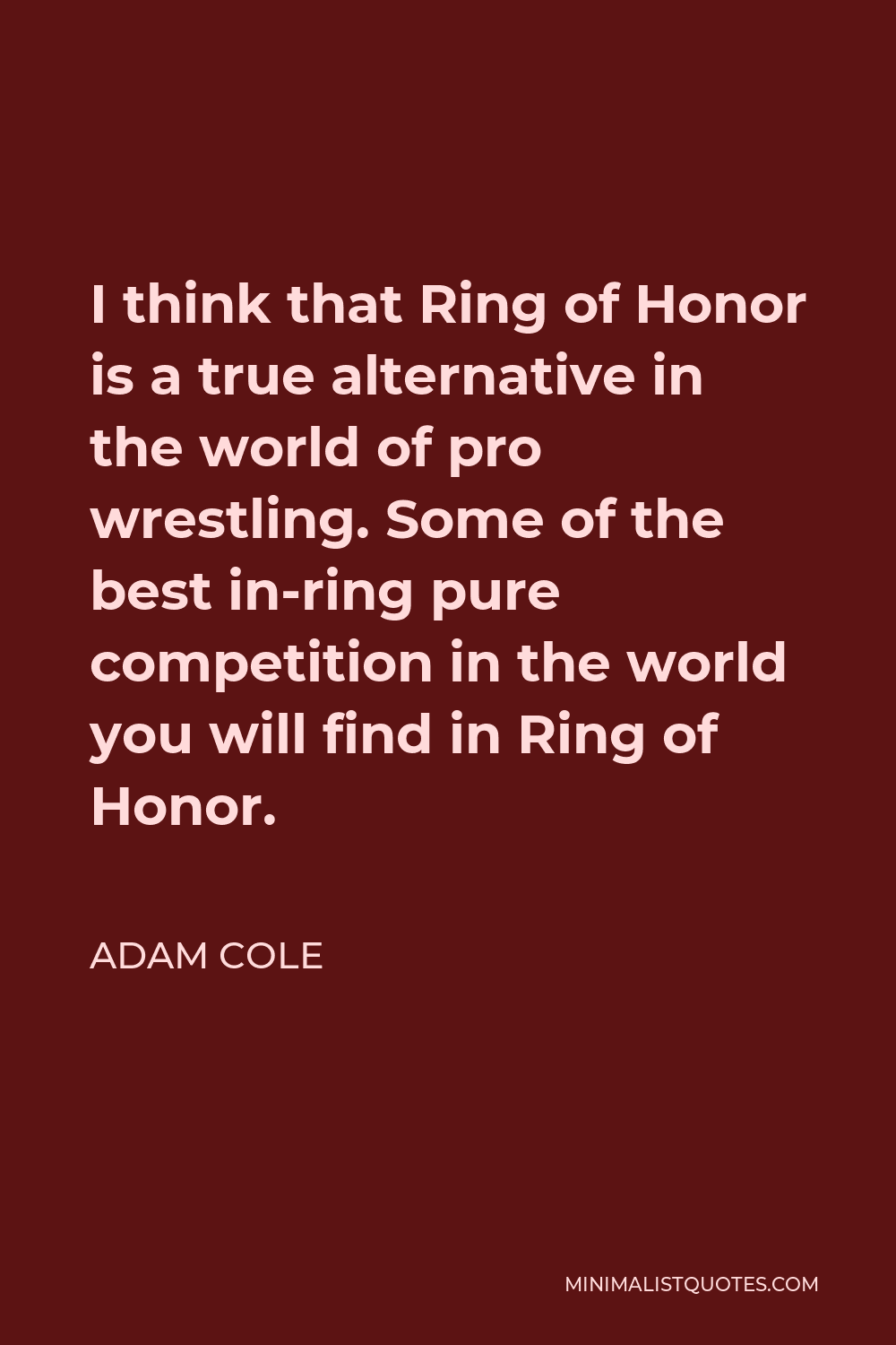 Adam Cole Quote - I think that Ring of Honor is a true alternative in the world of pro wrestling. Some of the best in-ring pure competition in the world you will find in Ring of Honor.