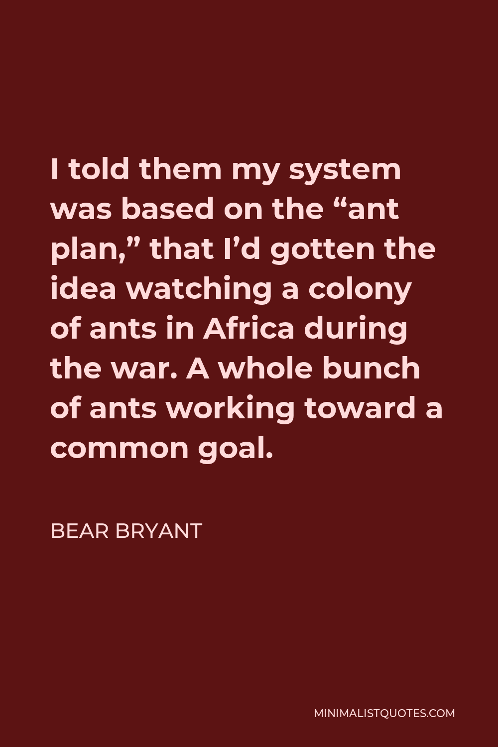 Bear Bryant Quote - I told them my system was based on the “ant plan,” that I’d gotten the idea watching a colony of ants in Africa during the war. A whole bunch of ants working toward a common goal.