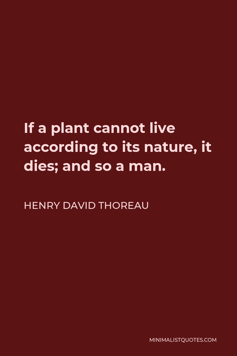 Henry David Thoreau Quote - If a plant cannot live according to its nature, it dies; and so a man.