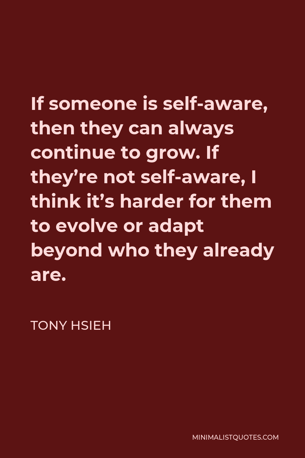 Tony Hsieh Quote - If someone is self-aware, then they can always continue to grow. If they’re not self-aware, I think it’s harder for them to evolve or adapt beyond who they already are.