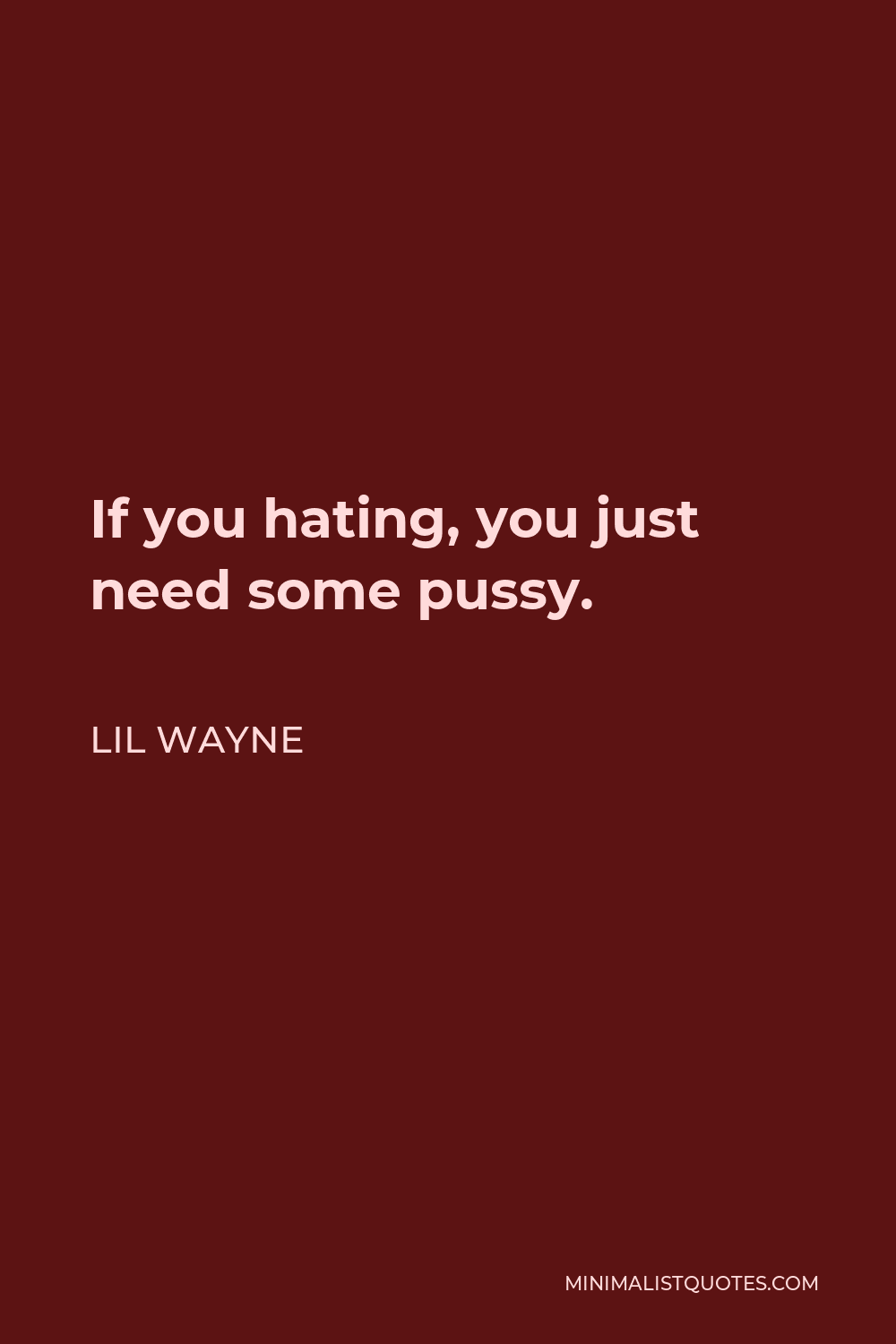 Lil Wayne Quote - If you hating, you just need some pussy.
