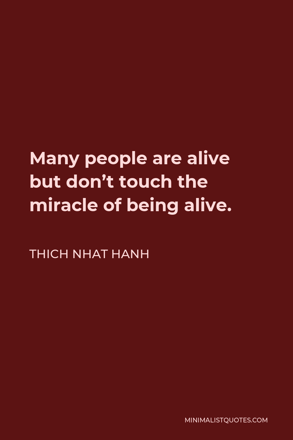 Thich Nhat Hanh Quote - Many people are alive but don’t touch the miracle of being alive.