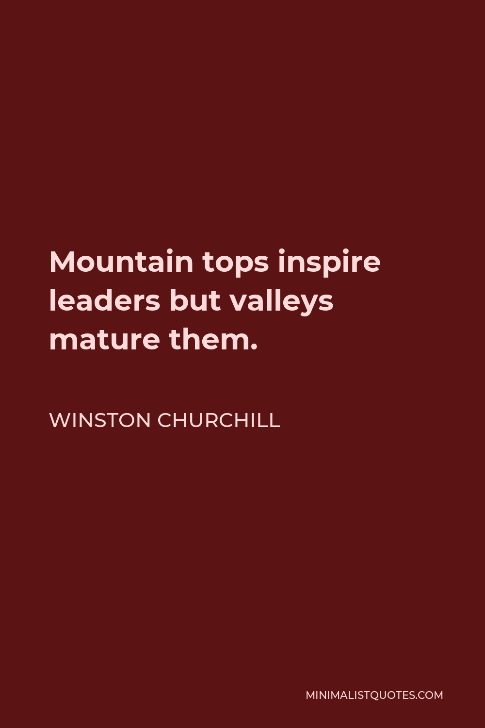 Winston Churchill Quote - Mountain tops inspire leaders but valleys mature them.