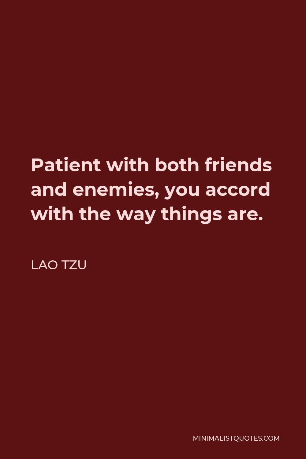 Lao Tzu Quote - Patient with both friends and enemies, you accord with the way things are.