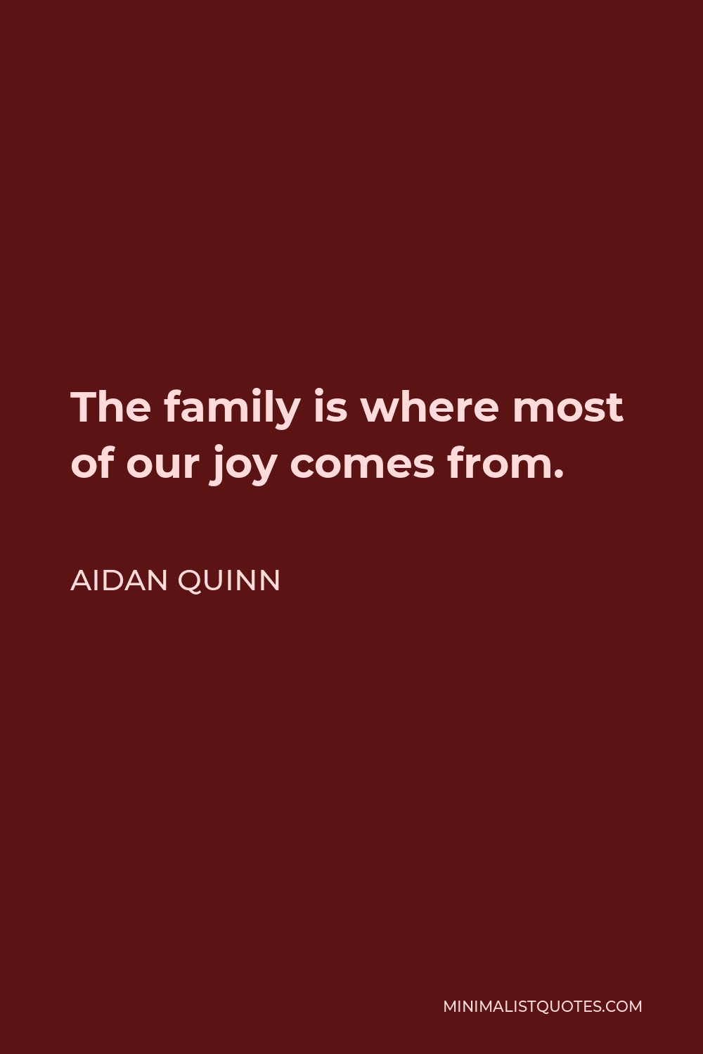 Aidan Quinn Quote - The family is where most of our joy comes from.