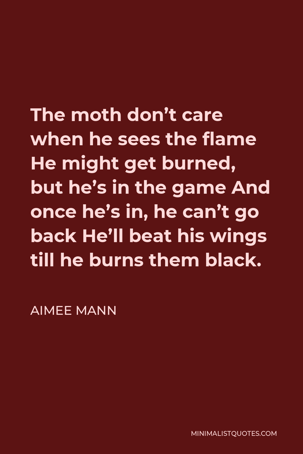 Aimee Mann Quote - The moth don’t care when he sees the flame He might get burned, but he’s in the game And once he’s in, he can’t go back He’ll beat his wings till he burns them black.