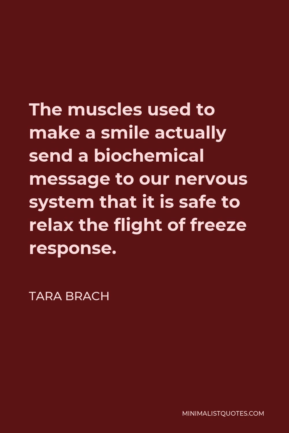 Tara Brach Quote - The muscles used to make a smile actually send a biochemical message to our nervous system that it is safe to relax the flight of freeze response.
