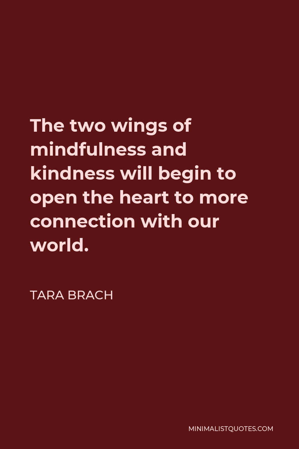 Tara Brach Quote - The two wings of mindfulness and kindness will begin to open the heart to more connection with our world.