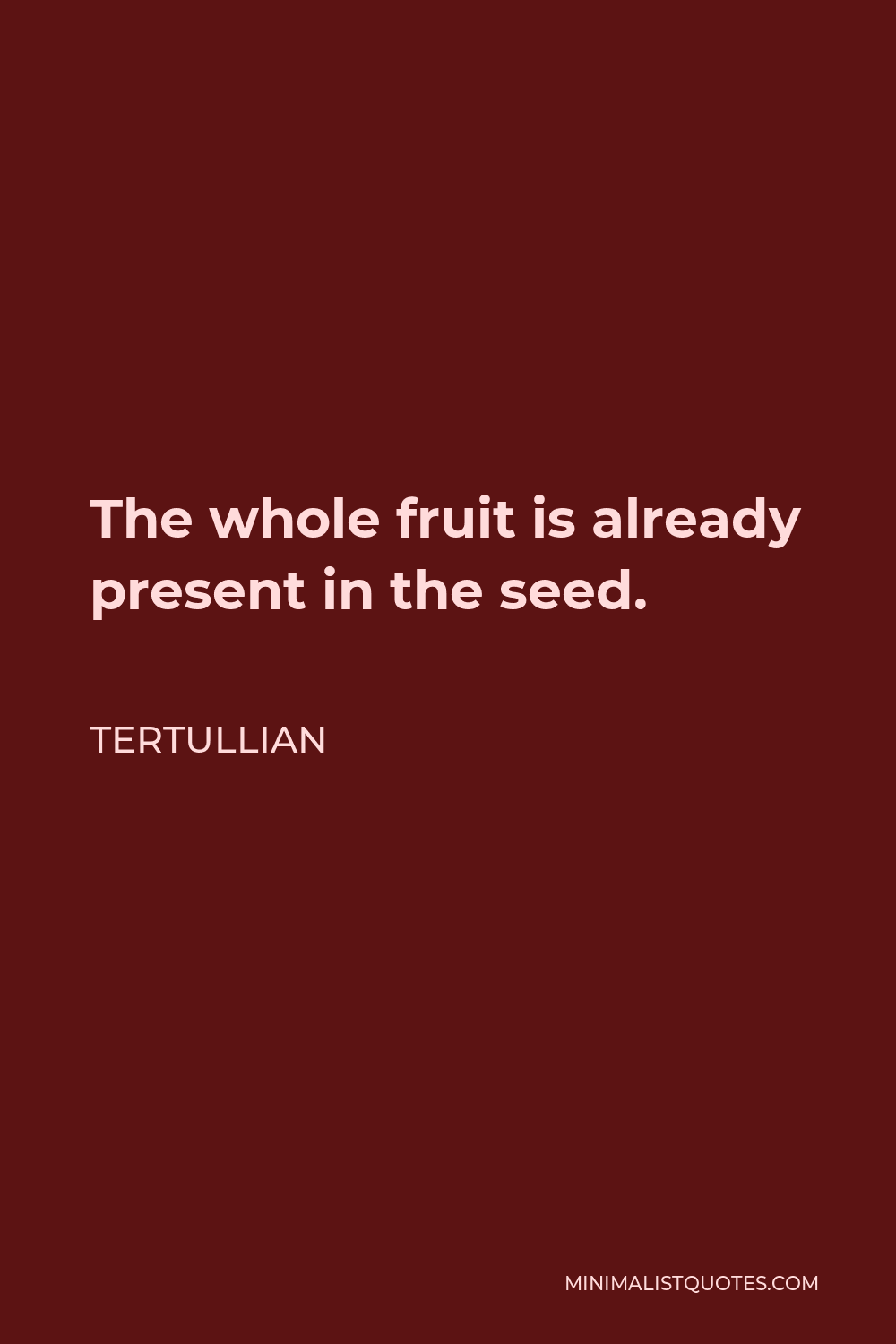 Tertullian Quote - The whole fruit is already present in the seed.