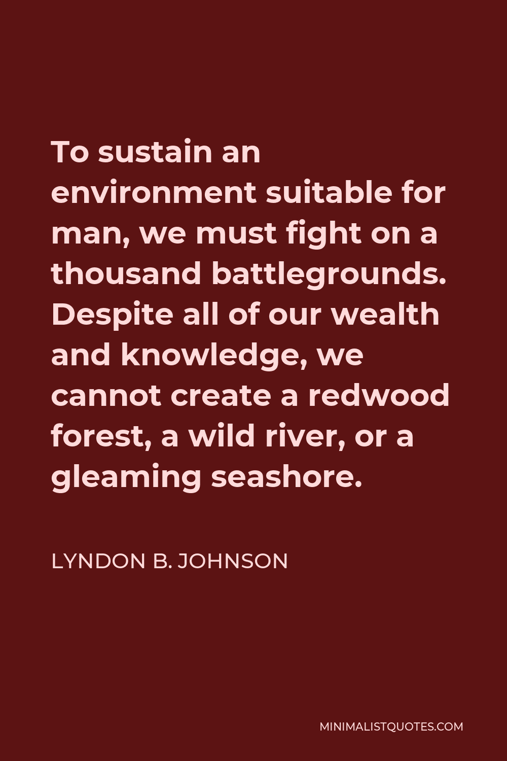 Lyndon B. Johnson Quote - To sustain an environment suitable for man, we must fight on a thousand battlegrounds. Despite all of our wealth and knowledge, we cannot create a redwood forest, a wild river, or a gleaming seashore.