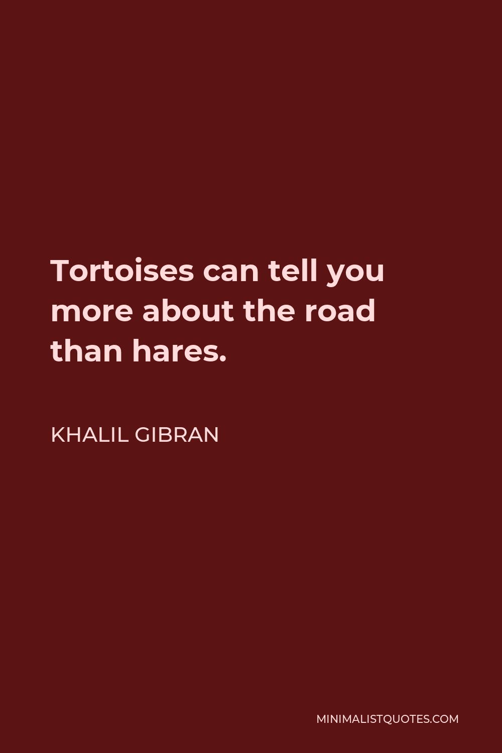Khalil Gibran Quote - Tortoises can tell you more about the road than hares.