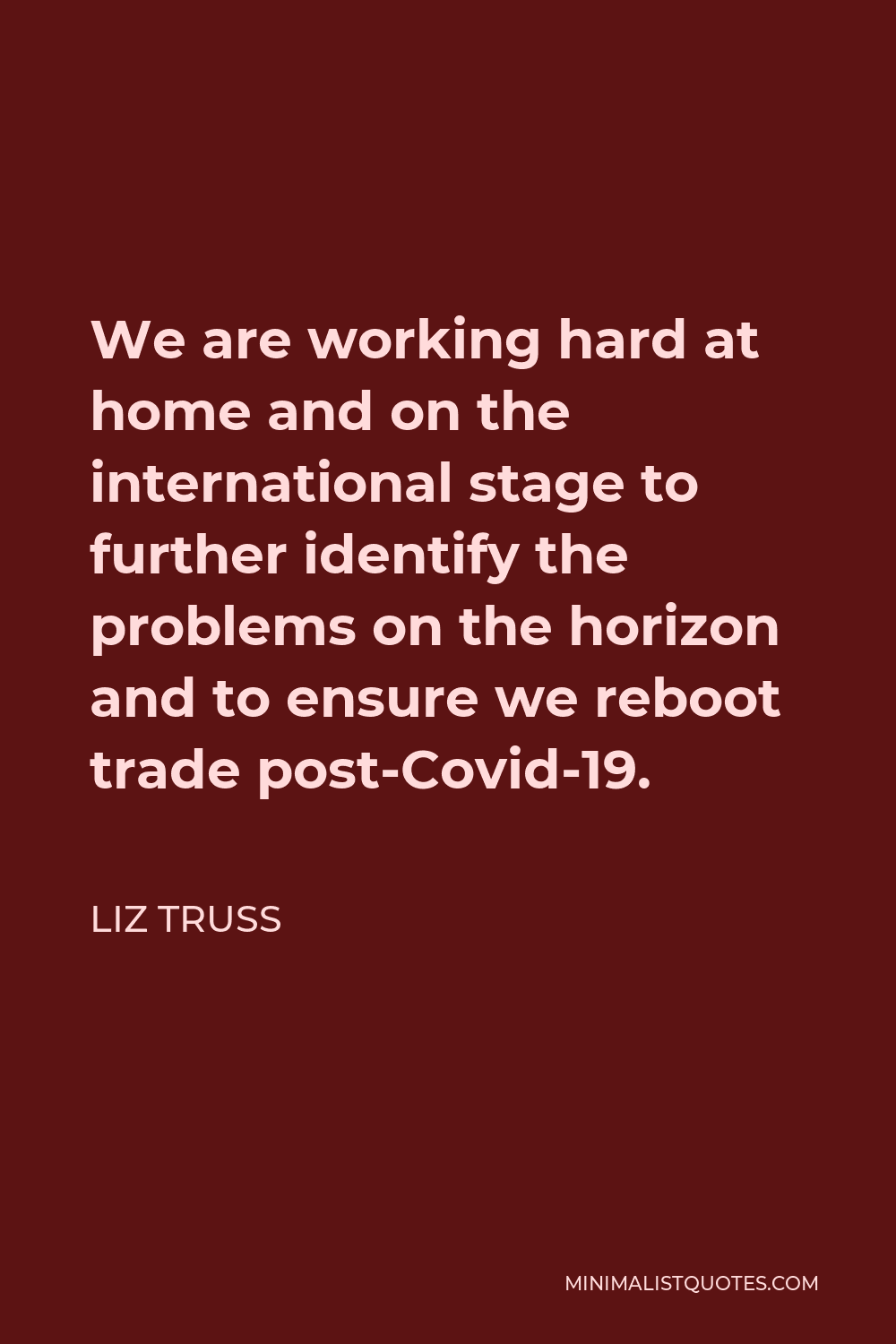 Liz Truss Quote - We are working hard at home and on the international stage to further identify the problems on the horizon and to ensure we reboot trade post-Covid-19.