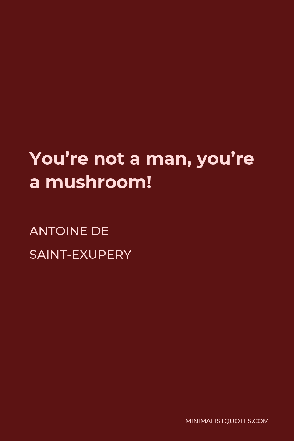 Antoine de Saint-Exupery Quote - You’re not a man, you’re a mushroom!
