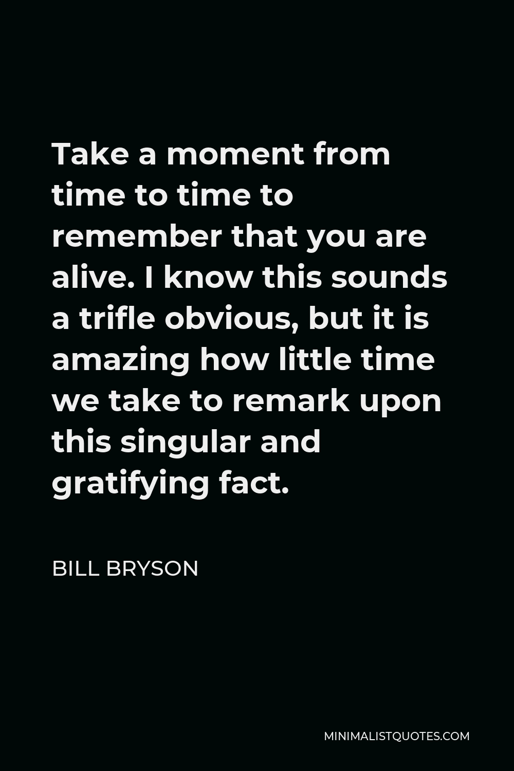 Bill Bryson Quote - Take a moment from time to time to remember that you are alive. I know this sounds a trifle obvious, but it is amazing how little time we take to remark upon this singular and gratifying fact.
