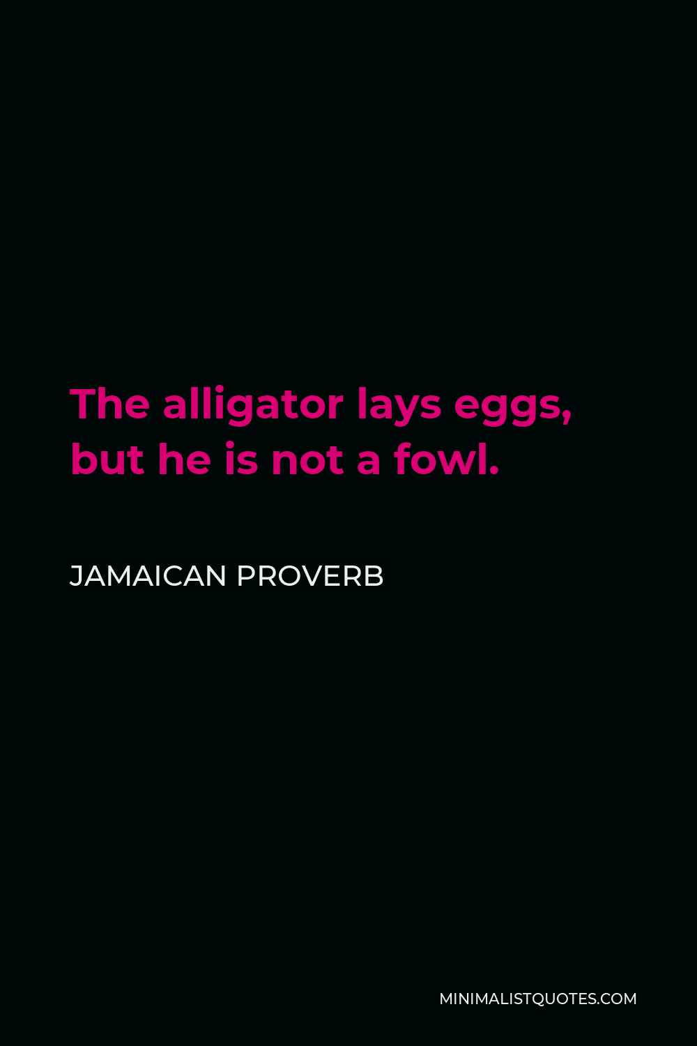Jamaican Proverb Quote - The alligator lays eggs, but he is not a fowl.