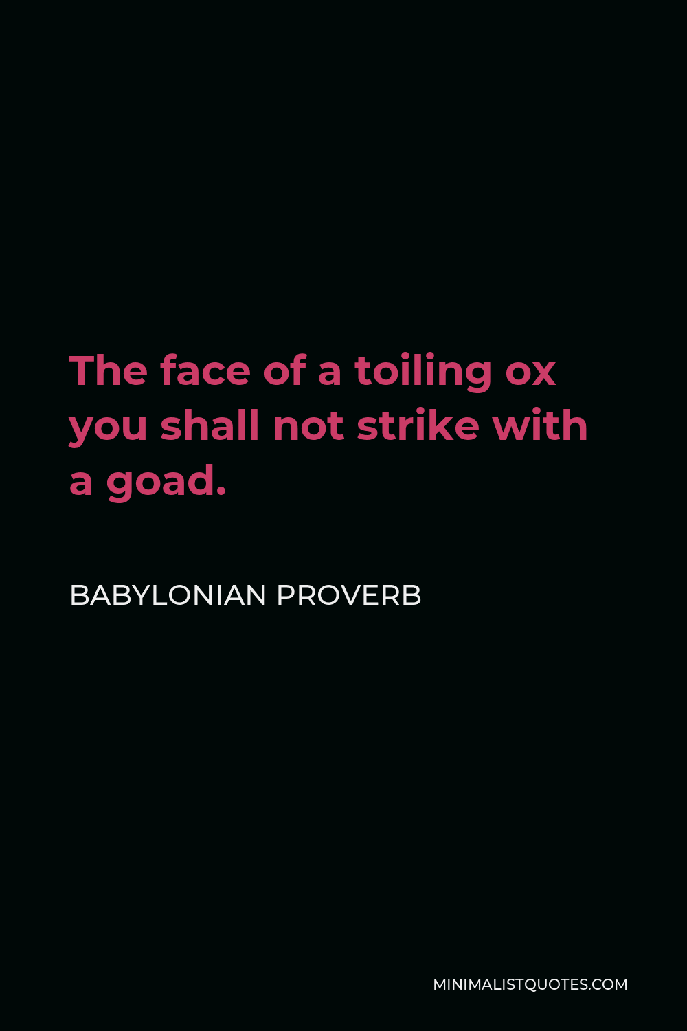 Babylonian Proverb Quote - The face of a toiling ox you shall not strike with a goad.