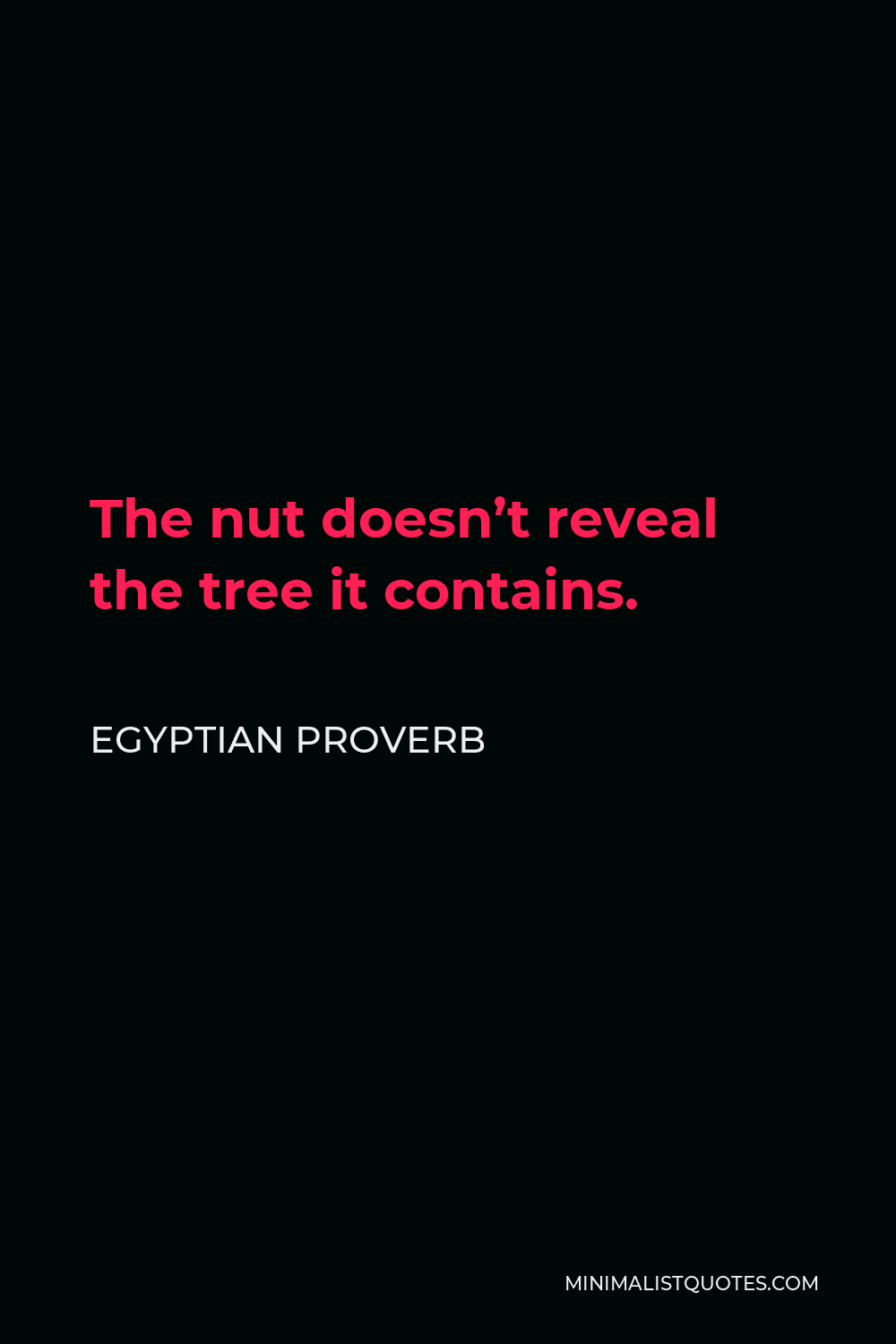 Egyptian Proverb Quote - The nut doesn’t reveal the tree it contains.