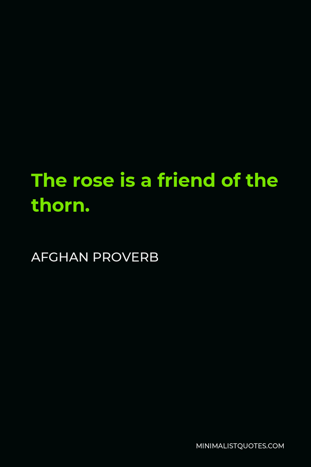 Afghan Proverb Quote - The rose is a friend of the thorn.
