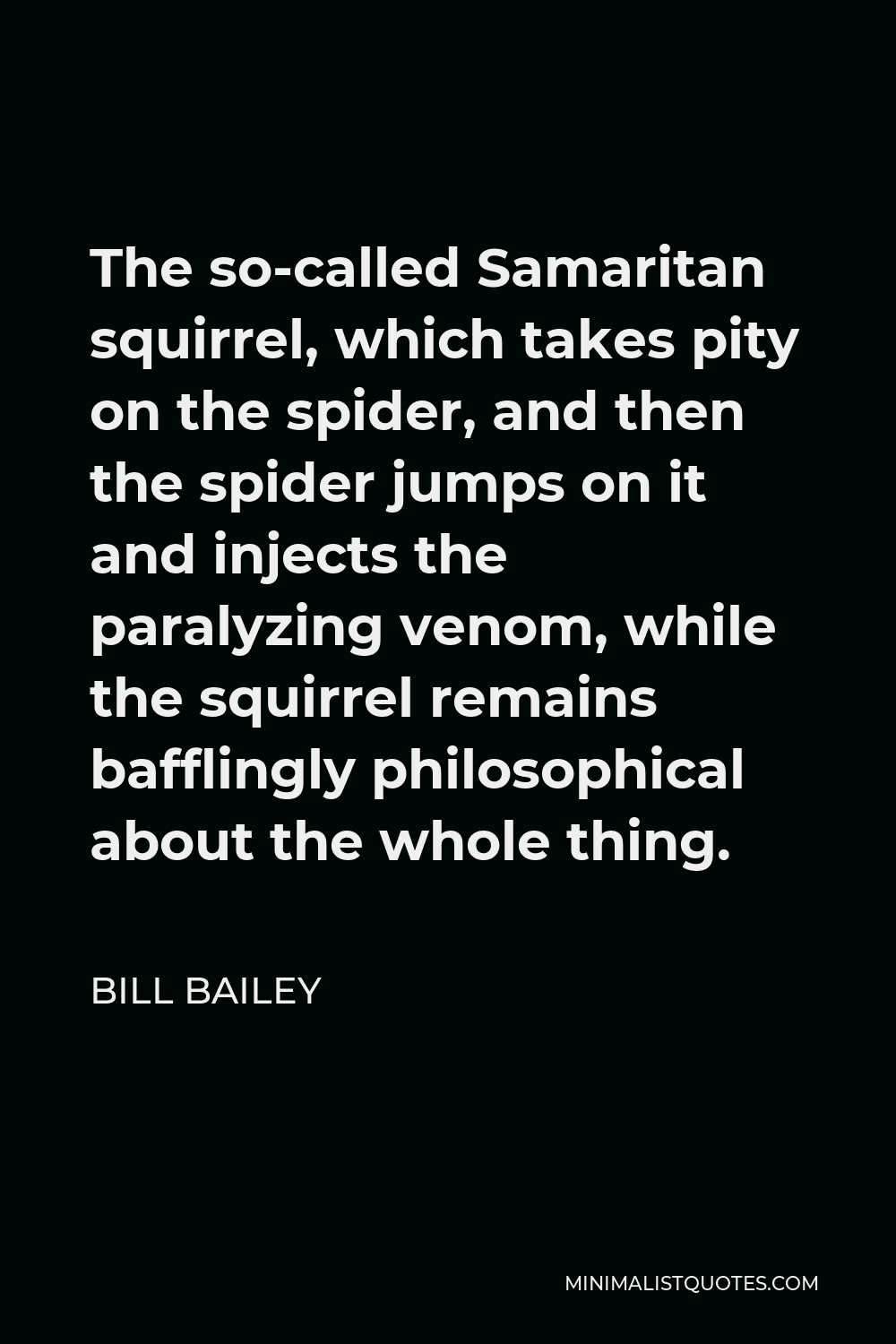 Bill Bailey Quote - The so-called Samaritan squirrel, which takes pity on the spider, and then the spider jumps on it and injects the paralyzing venom, while the squirrel remains bafflingly philosophical about the whole thing.