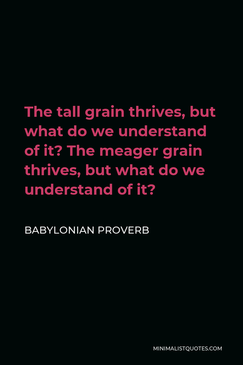 Babylonian Proverb Quote - The tall grain thrives, but what do we understand of it? The meager grain thrives, but what do we understand of it?