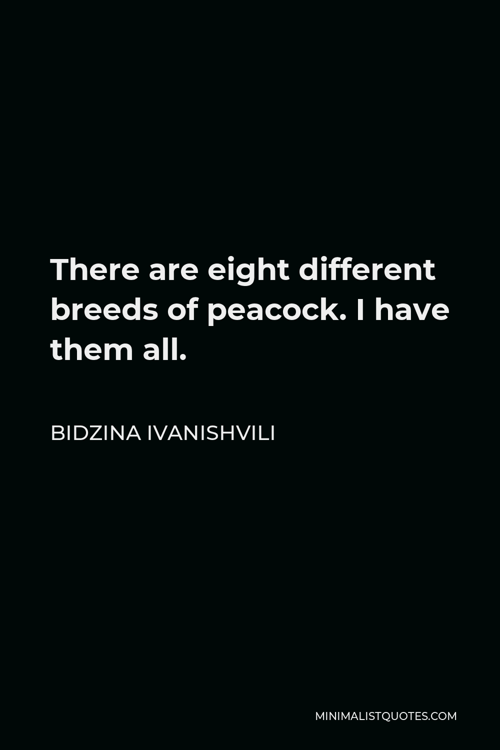 Bidzina Ivanishvili Quote - There are eight different breeds of peacock. I have them all.