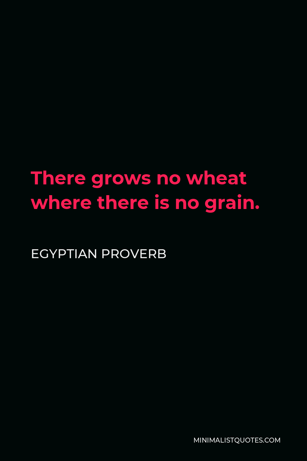 Egyptian Proverb Quote - There grows no wheat where there is no grain.
