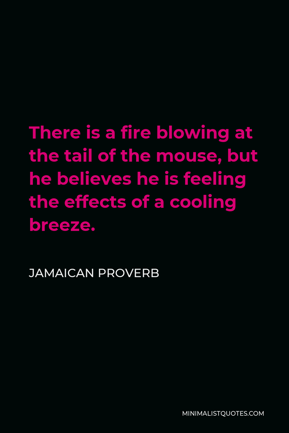 Jamaican Proverb Quote - There is a fire blowing at the tail of the mouse, but he believes he is feeling the effects of a cooling breeze.