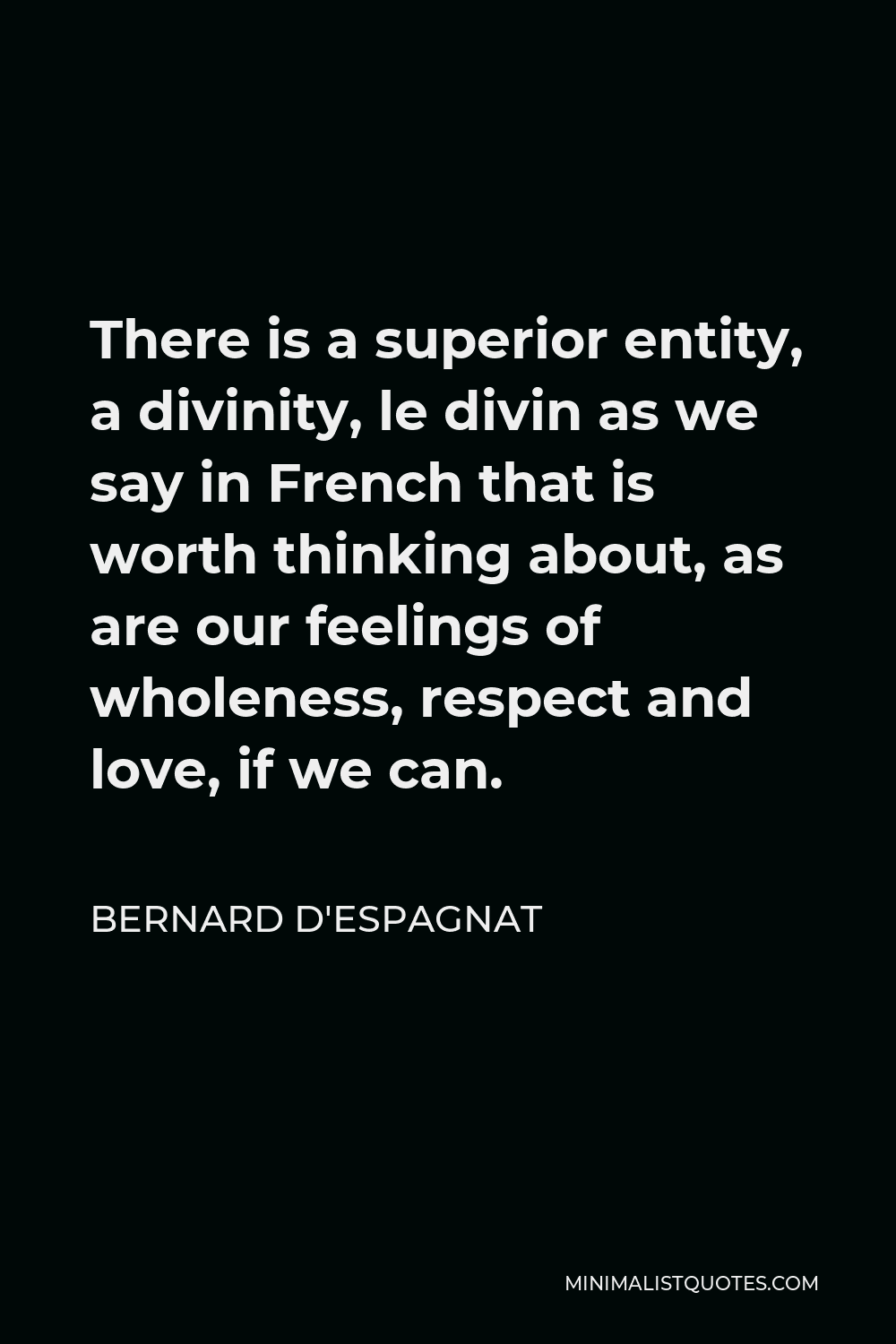 Bernard d'Espagnat Quote - There is a superior entity, a divinity, le divin as we say in French that is worth thinking about, as are our feelings of wholeness, respect and love, if we can.