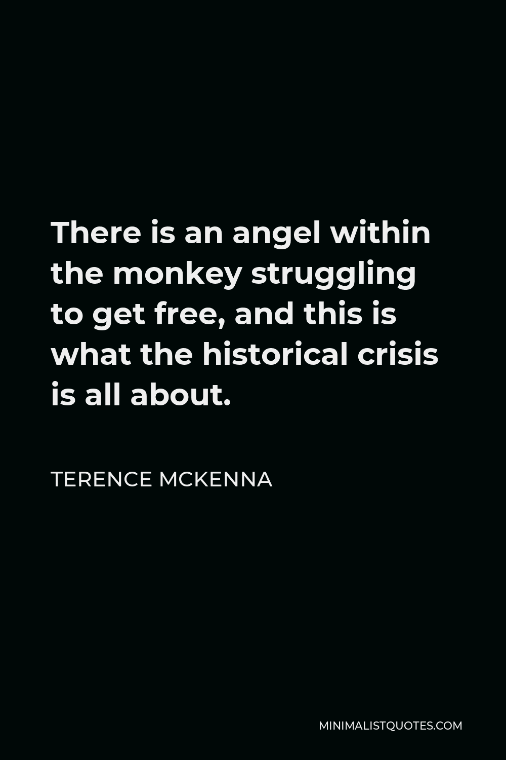 Terence McKenna Quote - There is an angel within the monkey struggling to get free, and this is what the historical crisis is all about.