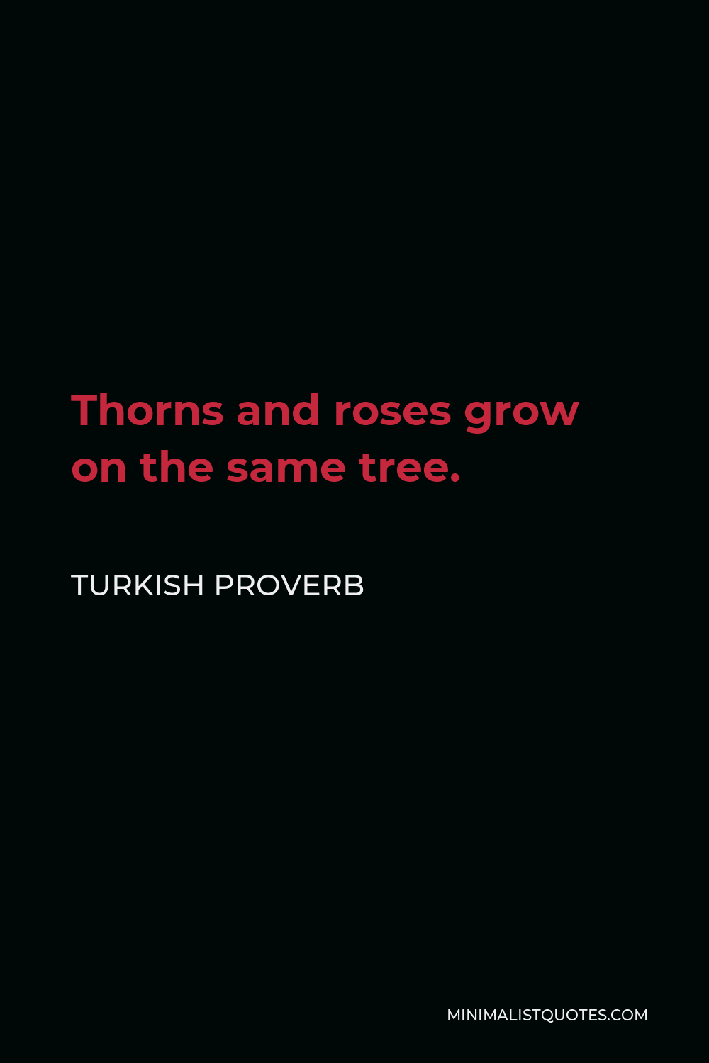 Turkish Proverb Quote - Thorns and roses grow on the same tree.