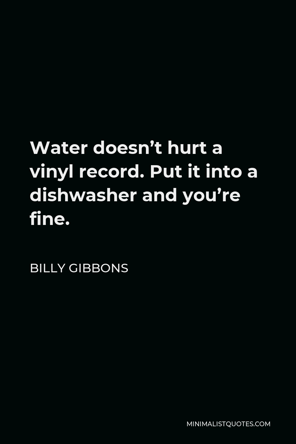 Billy Gibbons Quote - Water doesn’t hurt a vinyl record. Put it into a dishwasher and you’re fine.