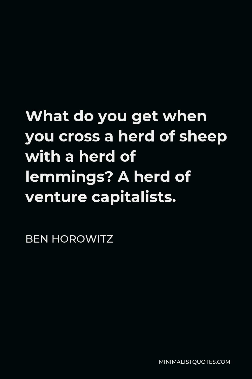 Ben Horowitz Quote - What do you get when you cross a herd of sheep with a herd of lemmings? A herd of venture capitalists.