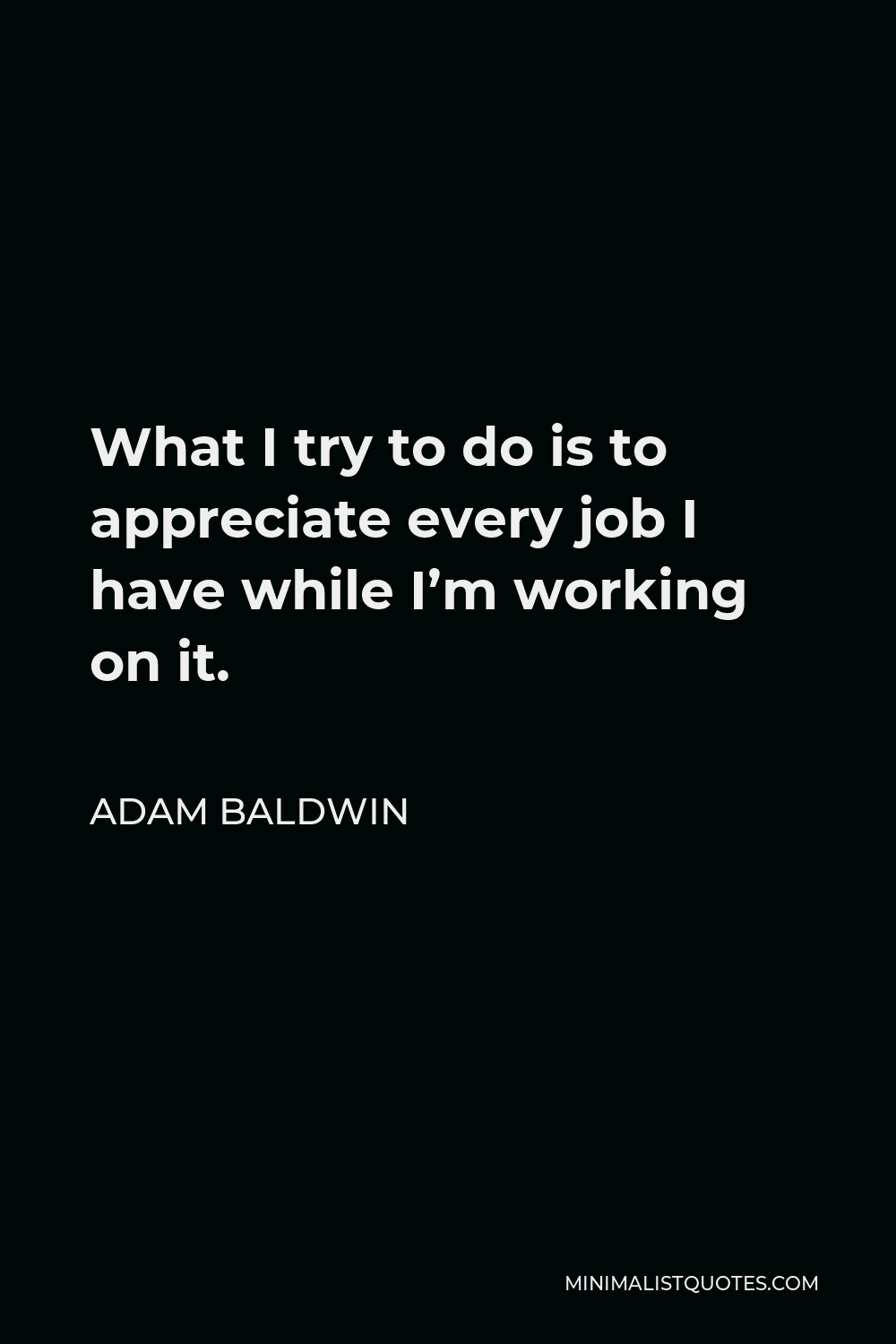 Adam Baldwin Quote - What I try to do is to appreciate every job I have while I’m working on it.