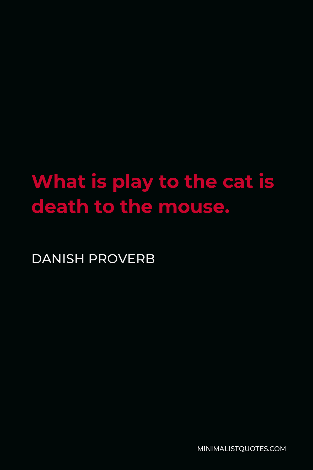 Danish Proverb Quote - What is play to the cat is death to the mouse.