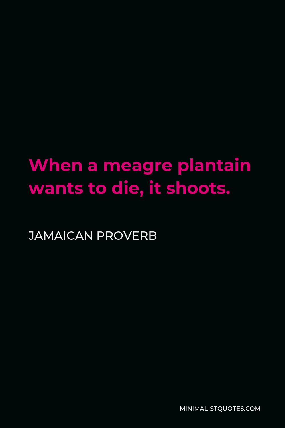 Jamaican Proverb Quote - When a meagre plantain wants to die, it shoots.