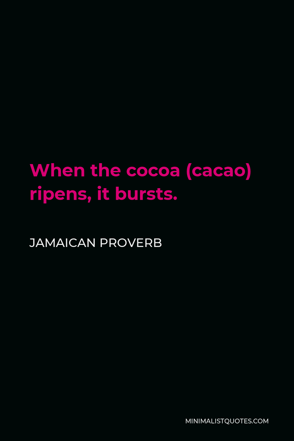 Jamaican Proverb Quote - When the cocoa (cacao) ripens, it bursts.