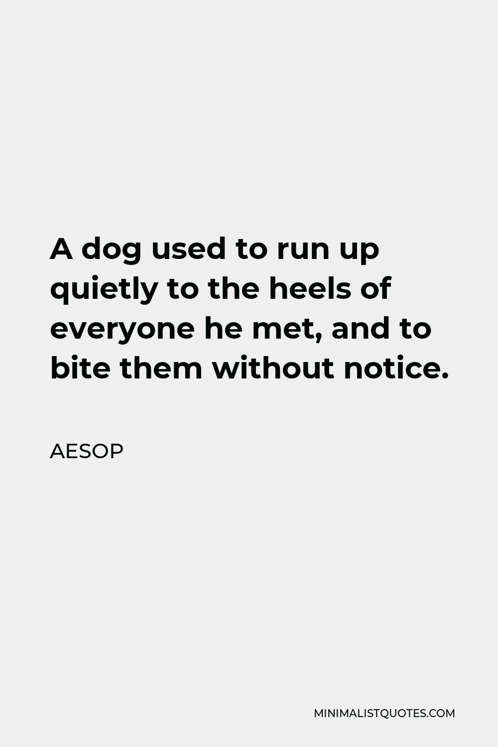 Aesop Quote - A dog used to run up quietly to the heels of everyone he met, and to bite them without notice.