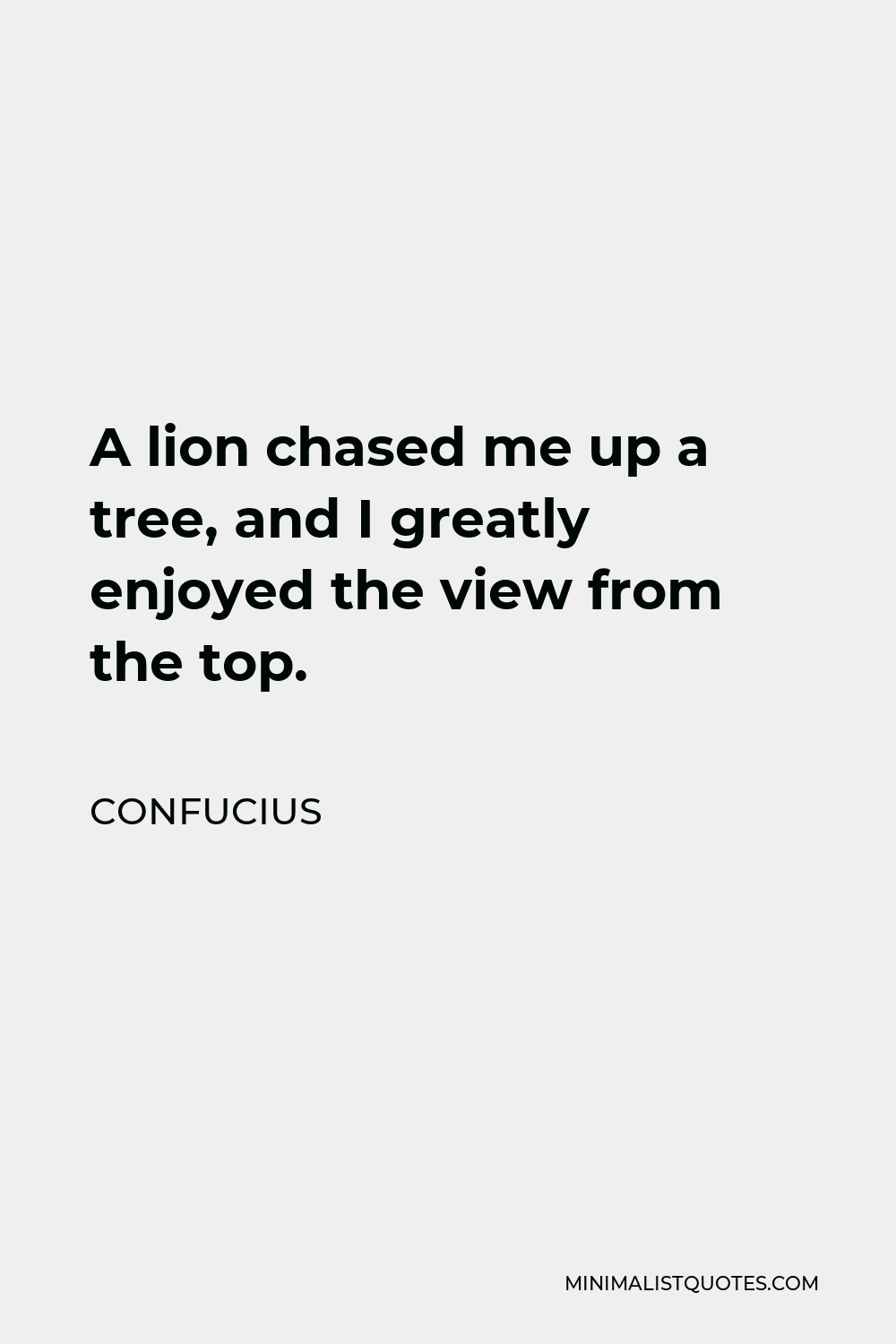 Confucius Quote - A lion chased me up a tree, and I greatly enjoyed the view from the top.