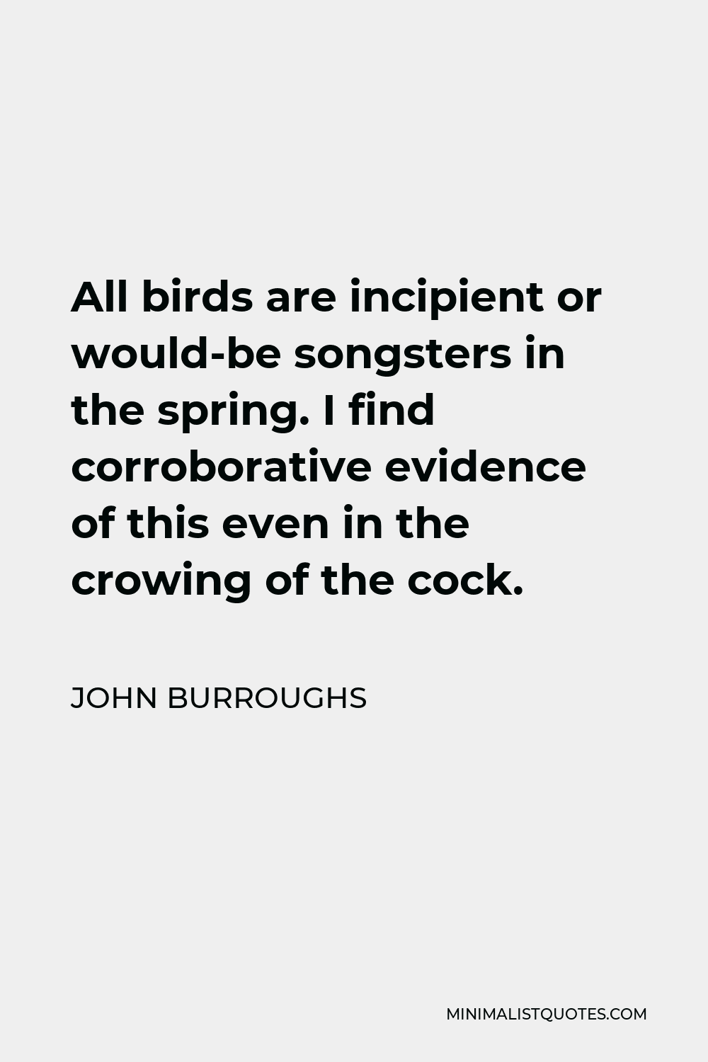 John Burroughs Quote: All birds are incipient or would-be songsters in