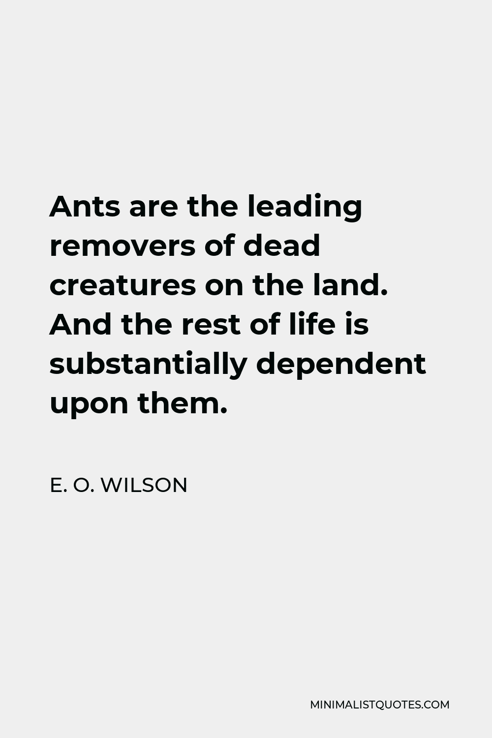 E. O. Wilson Quote - Ants are the leading removers of dead creatures on the land. And the rest of life is substantially dependent upon them.