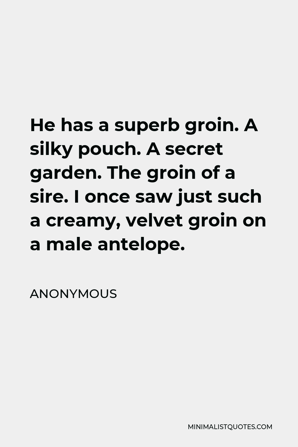 Anonymous Quote - He has a superb groin. A silky pouch. A secret garden. The groin of a sire. I once saw just such a creamy, velvet groin on a male antelope.