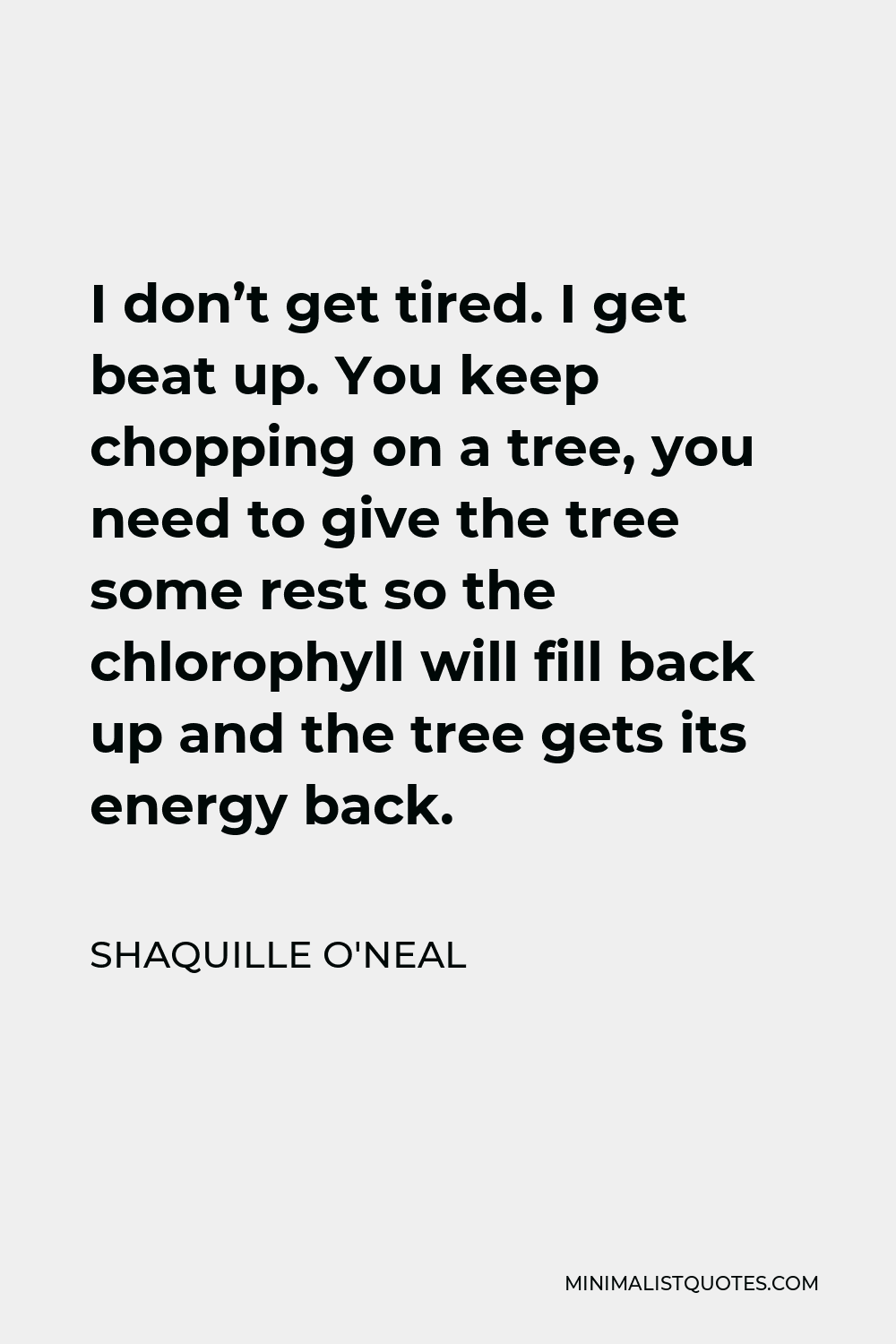 Shaquille O'Neal Quote - I don’t get tired. I get beat up. You keep chopping on a tree, you need to give the tree some rest so the chlorophyll will fill back up and the tree gets its energy back.