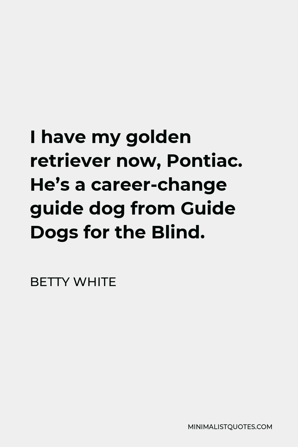 Betty White Quote - I have my golden retriever now, Pontiac. He’s a career-change guide dog from Guide Dogs for the Blind.