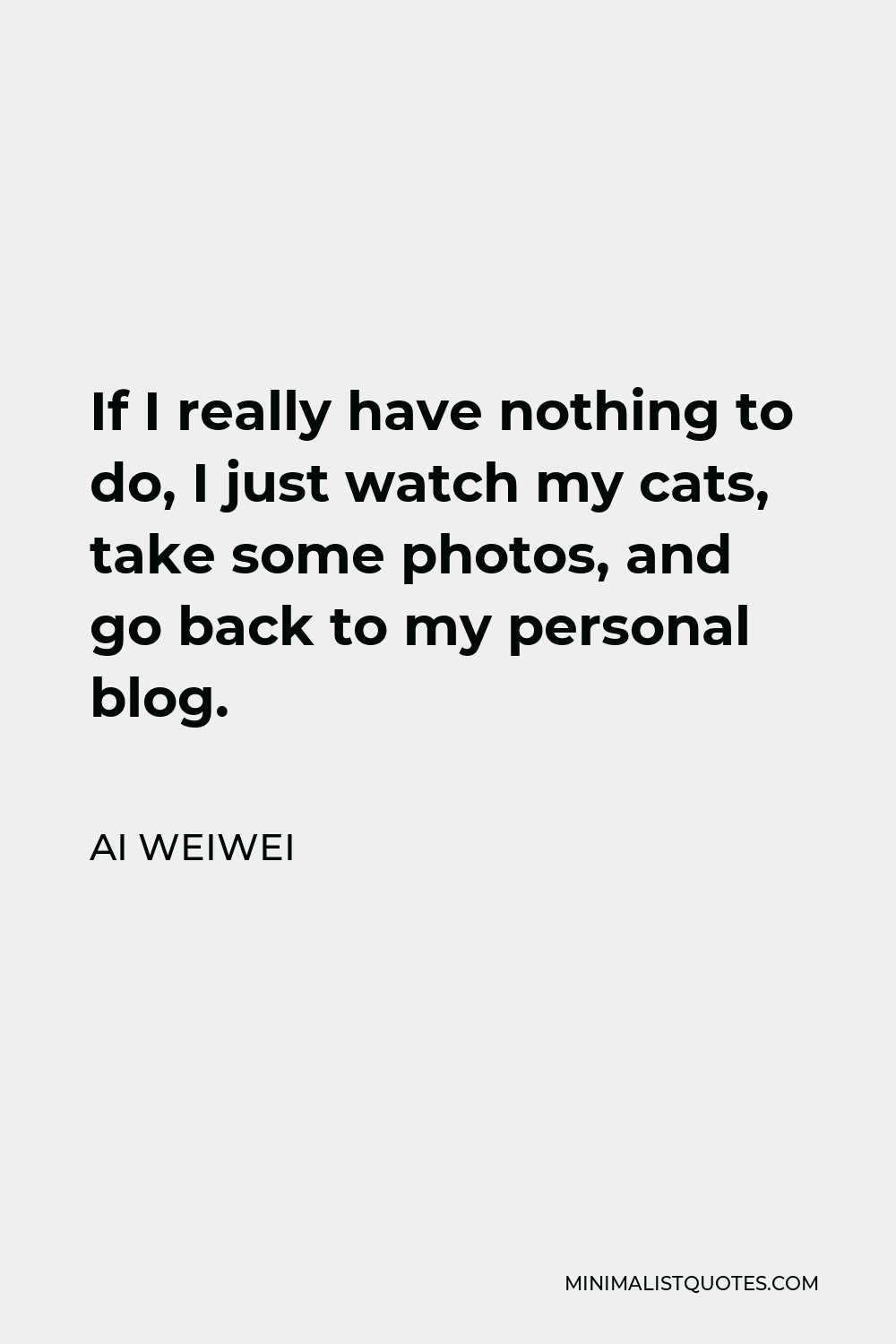 Ai Weiwei Quote - If I really have nothing to do, I just watch my cats, take some photos, and go back to my personal blog.