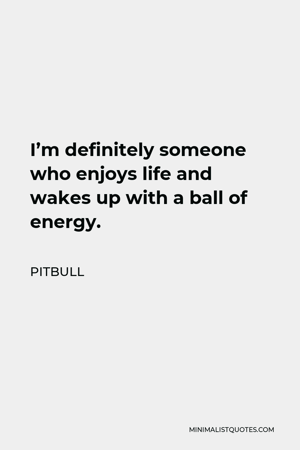 Pitbull Quote - I’m definitely someone who enjoys life and wakes up with a ball of energy.